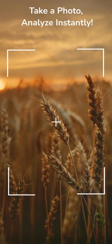 TatarAI: Crop & Plant Health screenshot