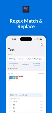 Regex Parse & Replace Dev Tool screenshot 1