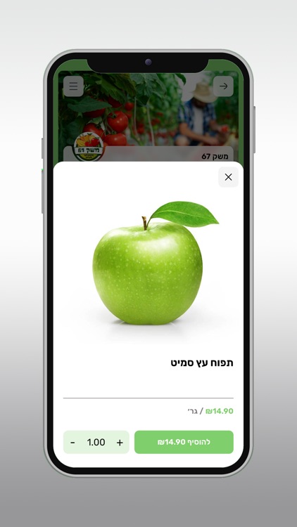 משק 67 screenshot-4