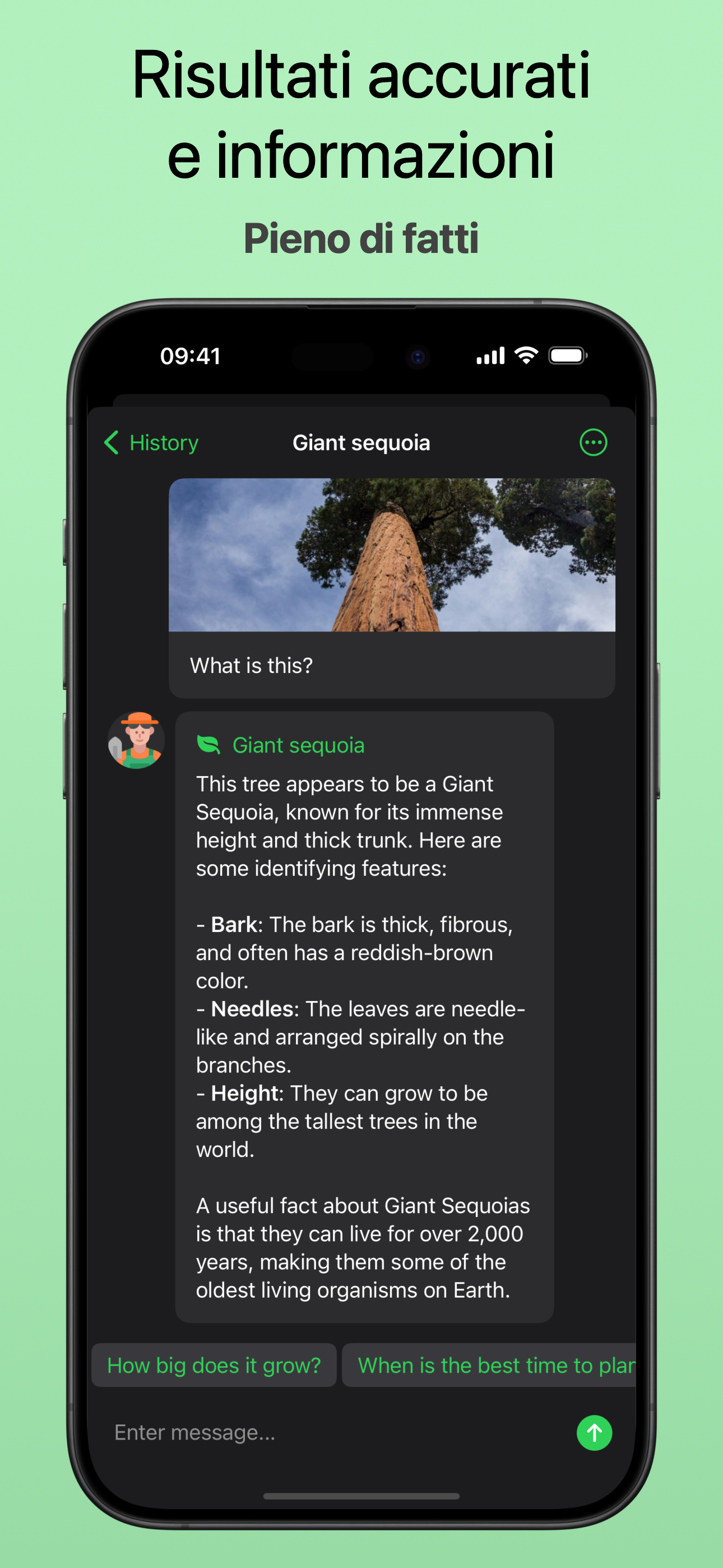 Easy Translate-AI translation