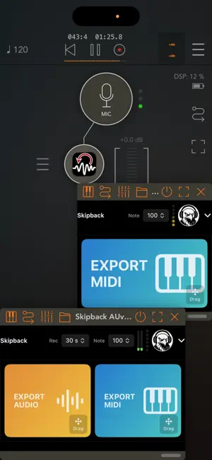 Skipback AUv3 screenshot 4