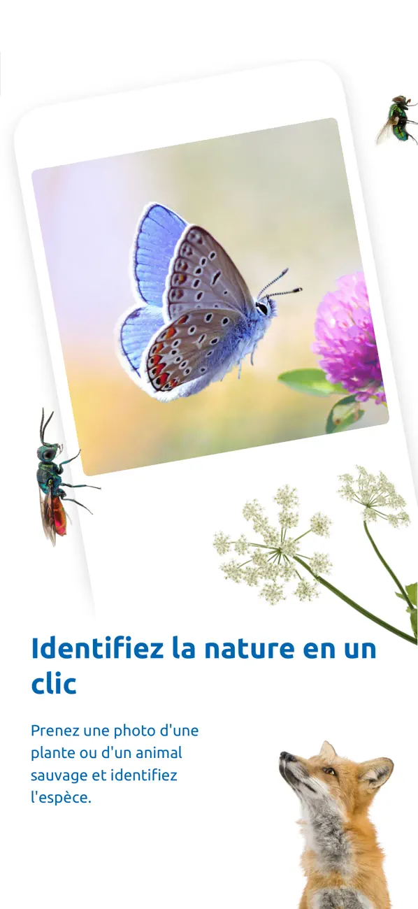 Screenshot #1 pour ObsIdentify