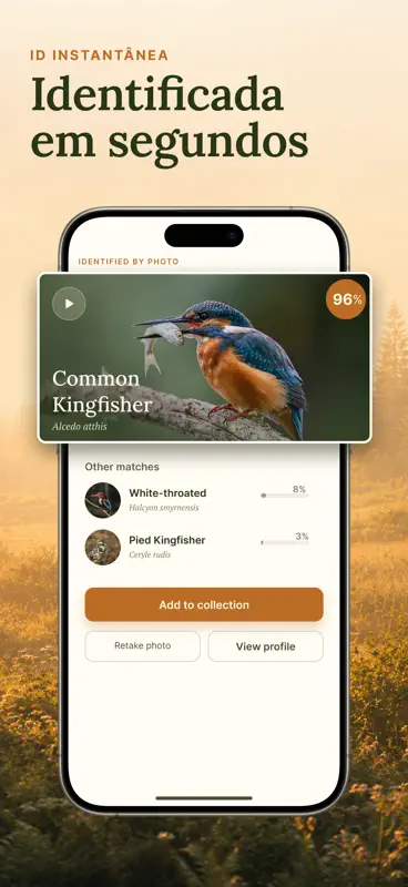 Birdio: Canto de Pássaros screenshot 4 of 5