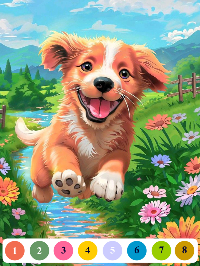 Senior Color - Paint By Number