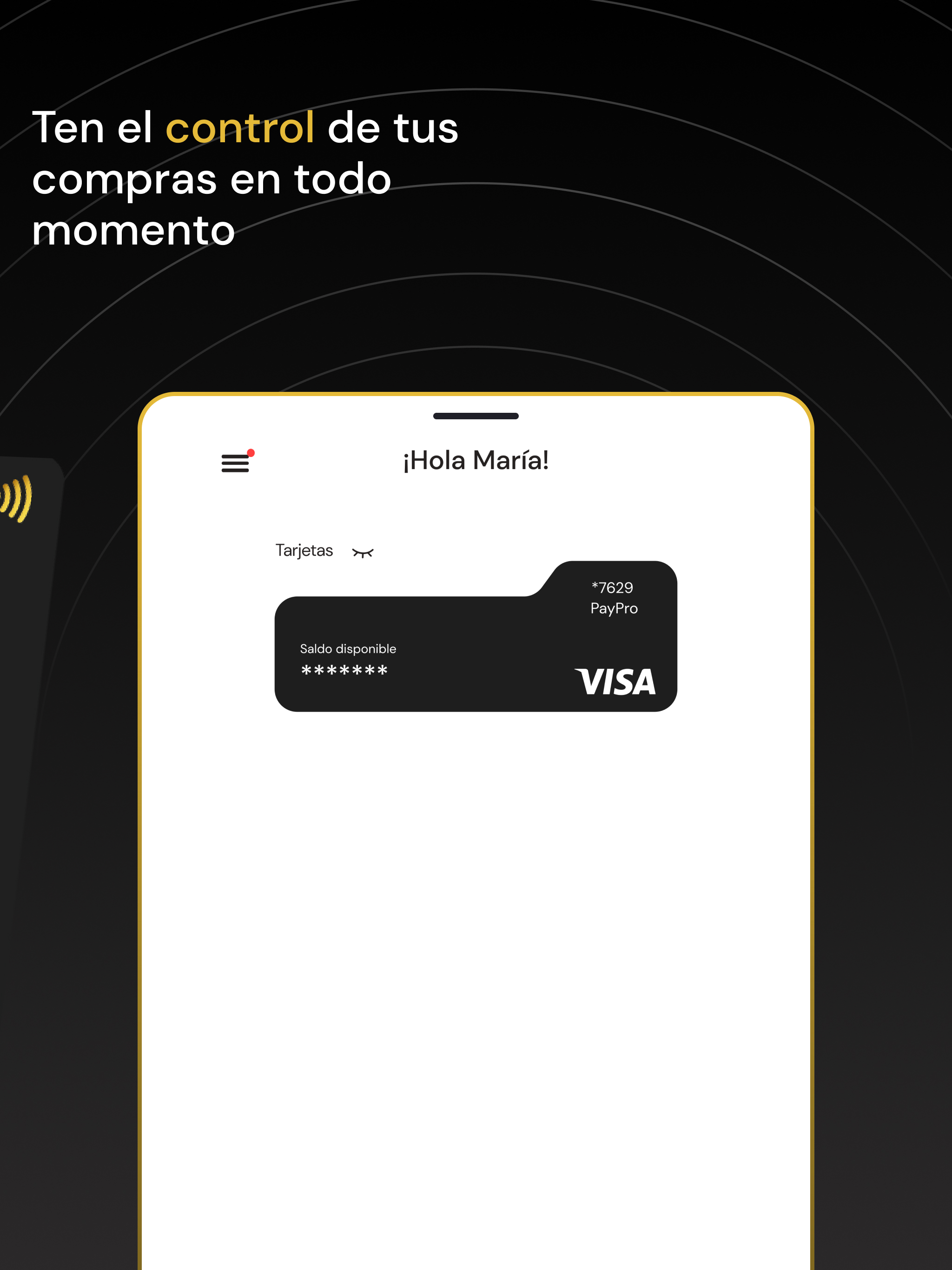 PayPro screenshot 10