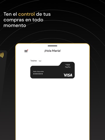 PayPro iPad screenshot
