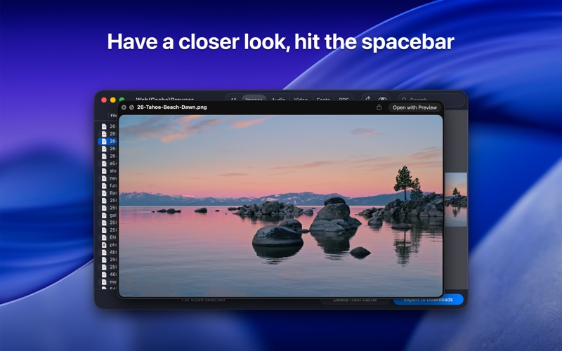Screenshot #2 pour Web(Cache)Browser