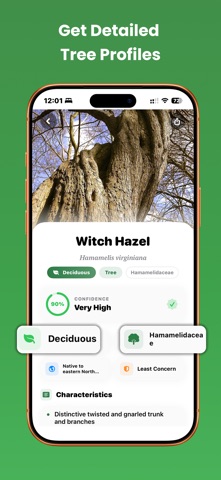 Tree Identifier: Wood & Leaf screenshot