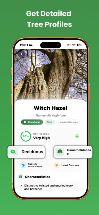 Tree Identifier: Wood & Leaf Screenshot 2 of 5