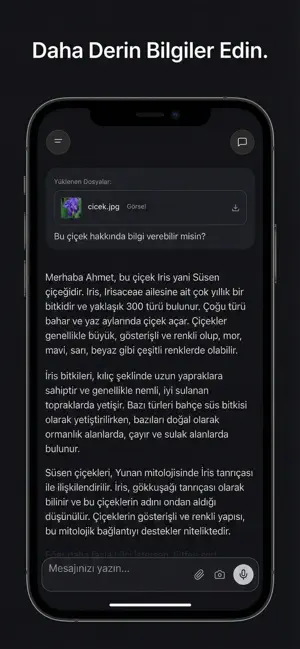 Nzeca Ai - Türkiye'nin Zekası screenshot 4