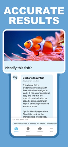 Fish Finder · AI Identifier screenshot