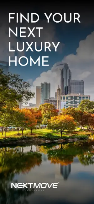 Next Move Carolinas screenshot 1
