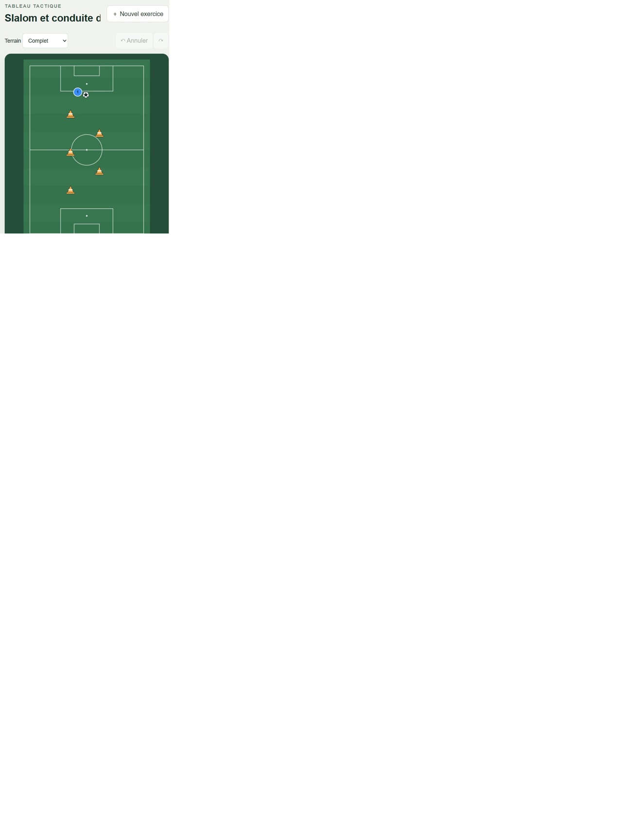 Screenshot 4 of Coach Terrain