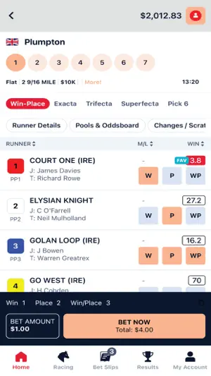 Parx Racing screenshot 3