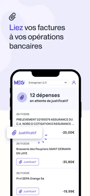 MEG - Mon Expert en Gestion screenshot 3