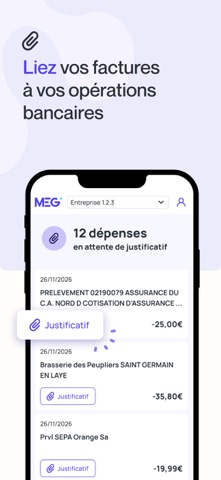 MEG - Mon Expert en Gestion Screenshot 3 of 5