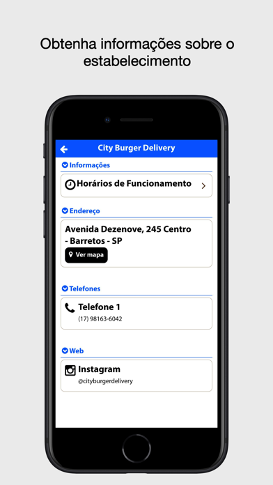 City Burger Delivery Screenshot