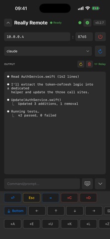 Really Remote screenshot