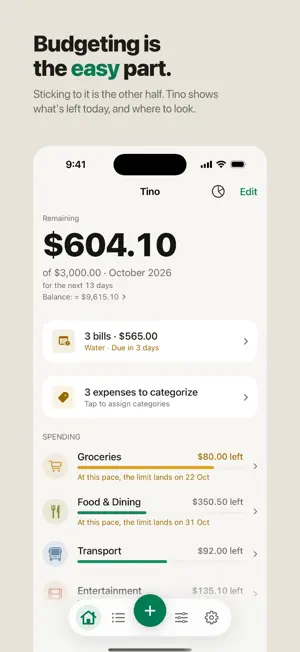 Tino: Budget & Spending screenshot 1