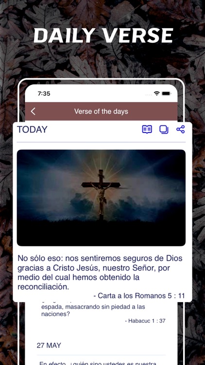 Bible Latinoamericana screenshot-4