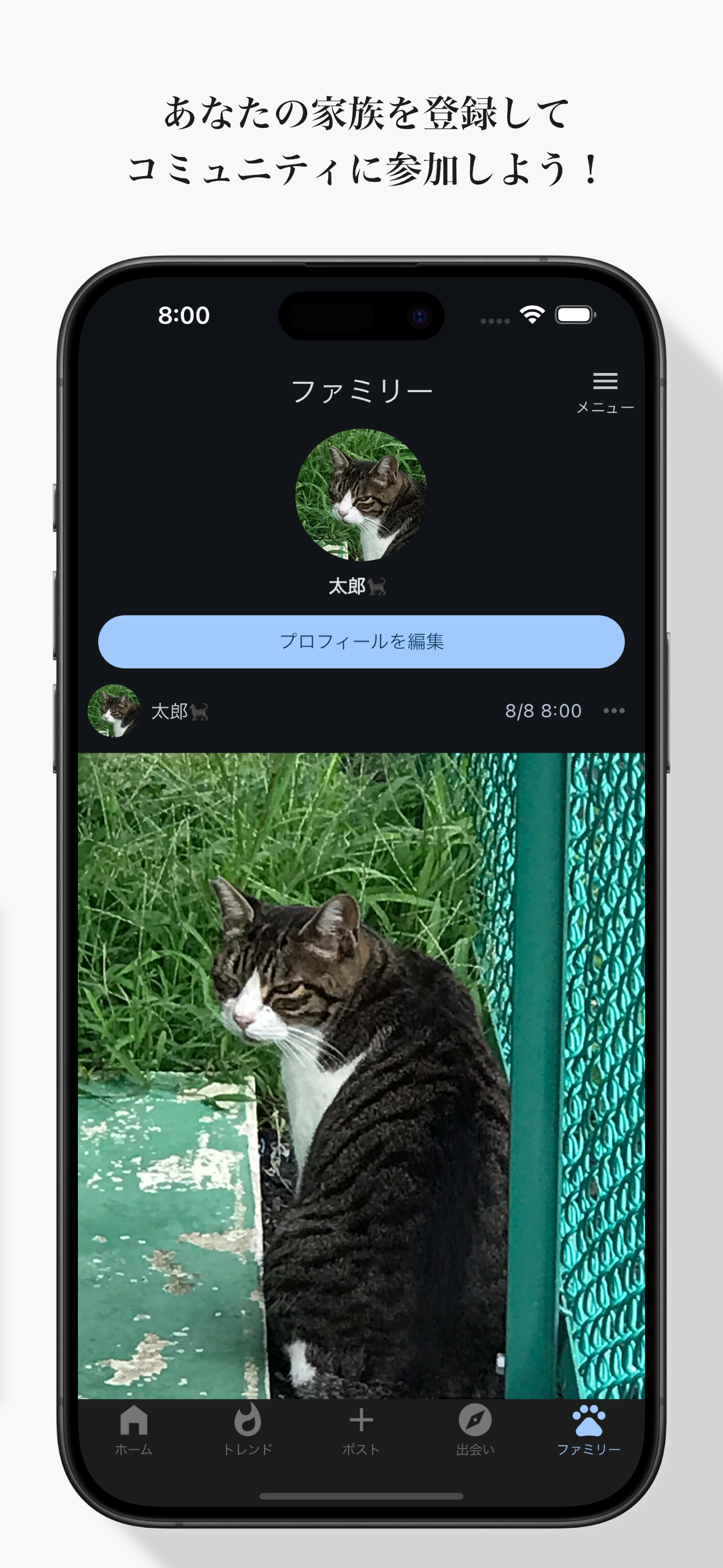 manekuneko screenshot 5