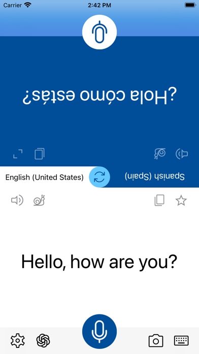 Instant Voice Translate Screenshot