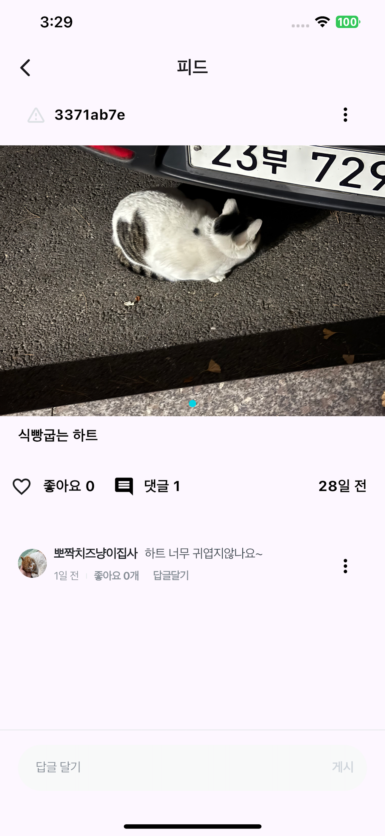 길냥로그