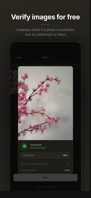 Bitfrost Camera screenshot 3