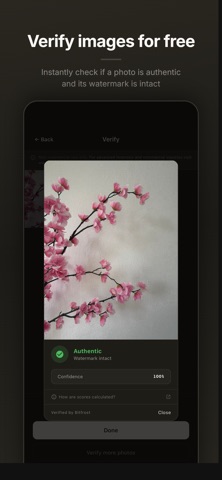 Bitfrost Camera screenshot