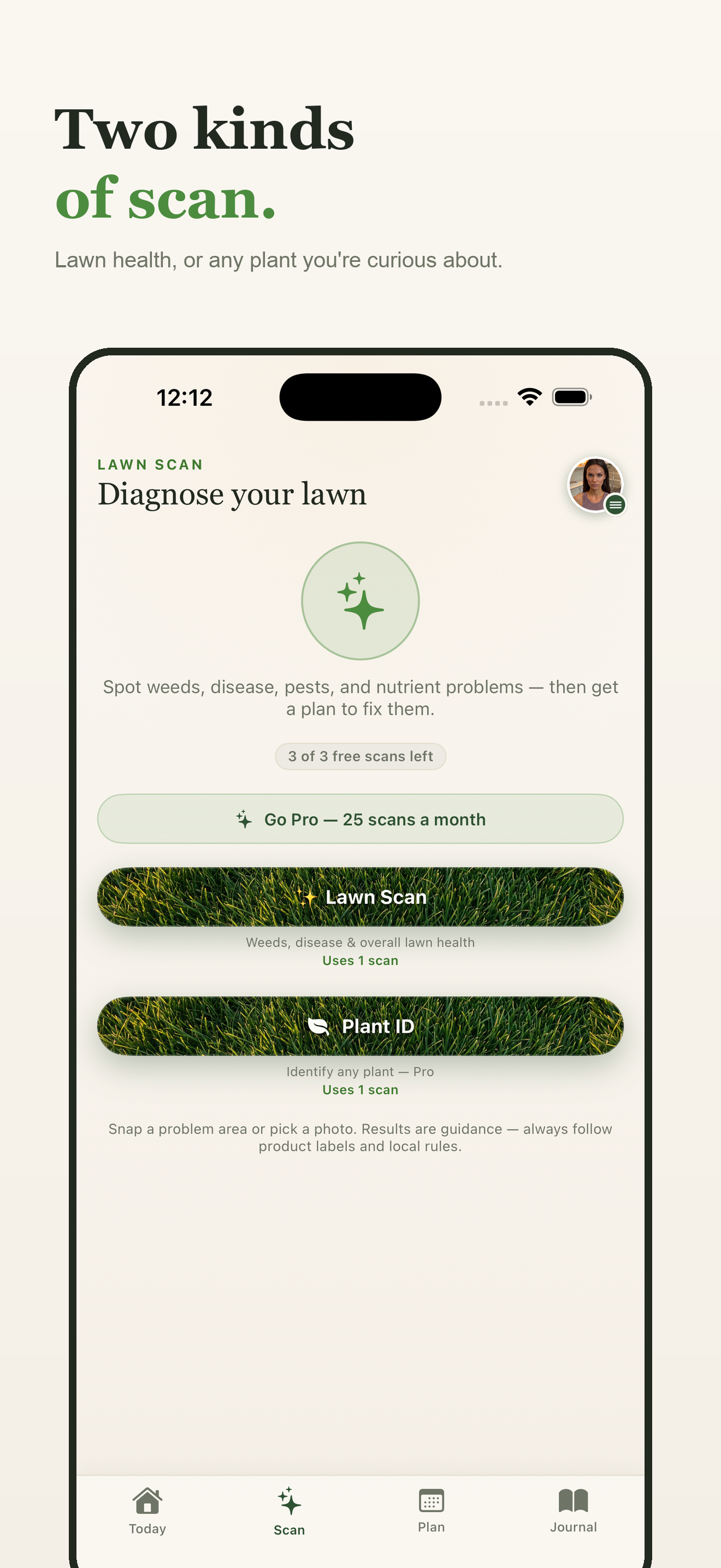 Big Grass Guy screenshot 6