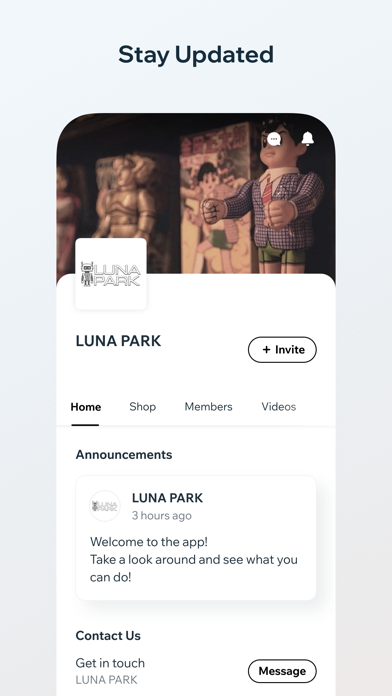 LUNA PARK LTD Screenshot