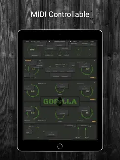 Gorilla - Bass Studio Suite iPad image 3