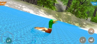 Duck Game Bird Simulator Screenshot 6 of 6