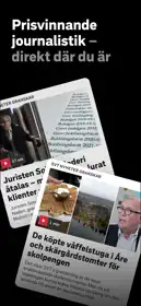 SVT Nyheter 2