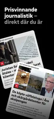 SVT Nyheter 2