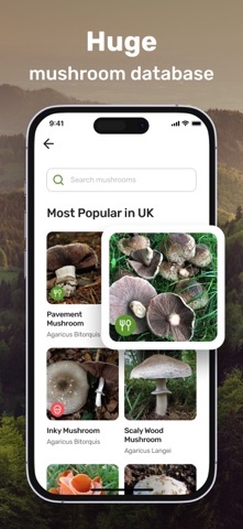 Mushroom Picture Identifier Screenshot 5 of 6