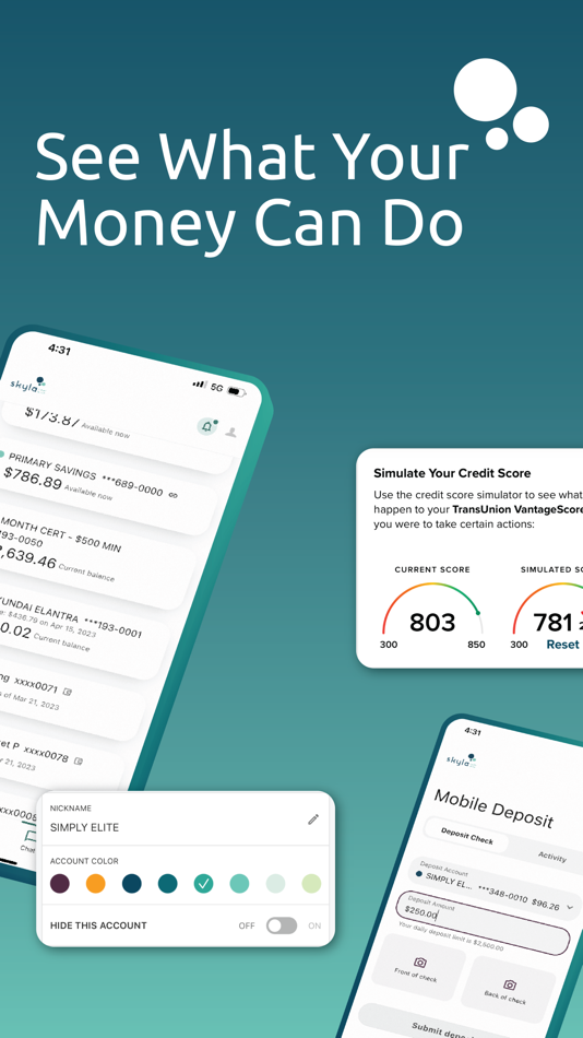 #1. Skyla Mobile (iOS) 由: Skyla Federal Credit Union