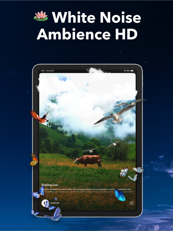 Thunderstorm Sleep Sounds iPad screenshot 8 - Health & Fitness app