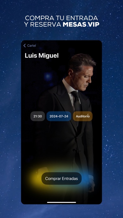 Concert Music Festival Screenshot