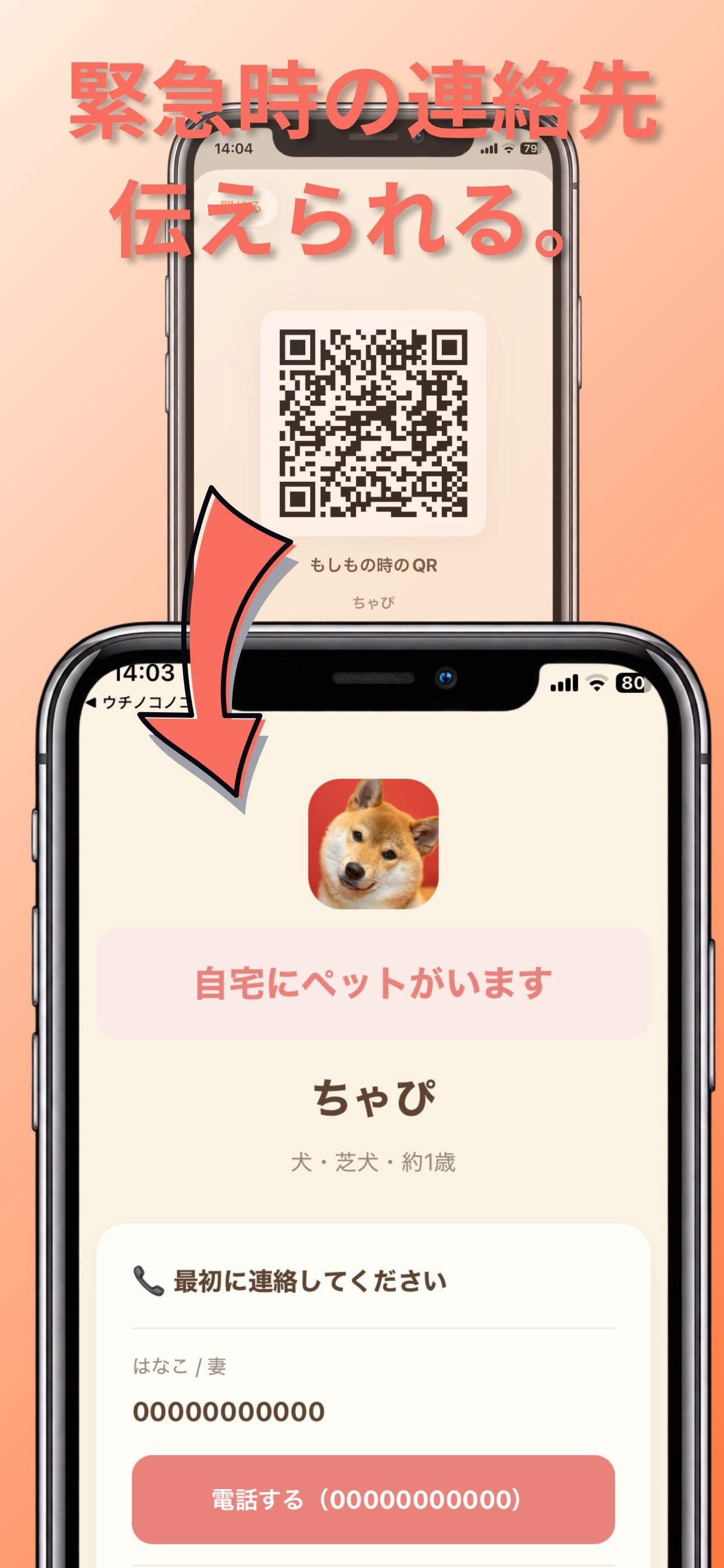Screenshot 4 of ウチノコノコト
