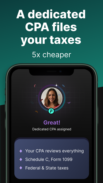 FlyFin - 1099 Taxes Screenshot