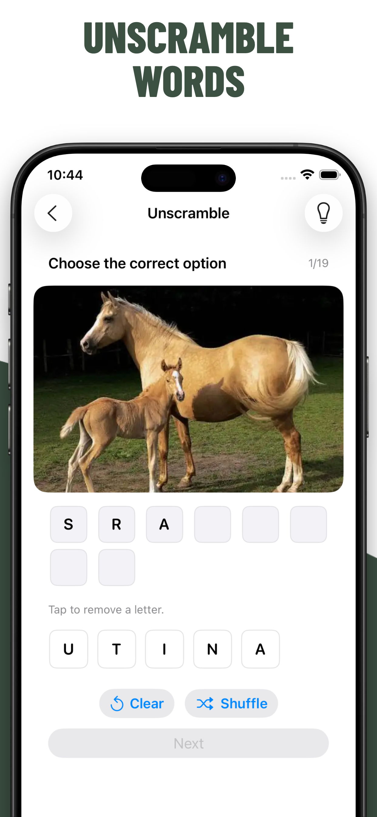 Horse Quiz Guess Breeds