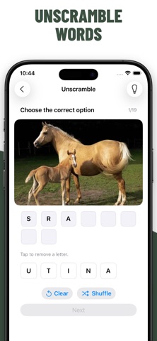 Horse Quiz Guess Breeds screenshot
