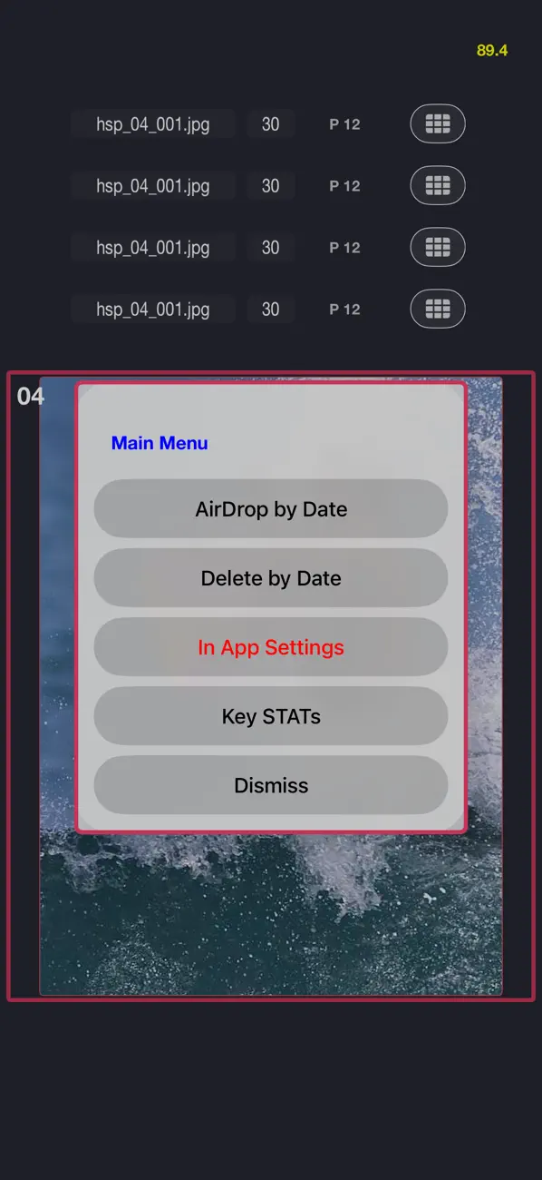 #4. Photosets Burst Photo Camera (iOS) От: Cosmosent