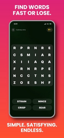 WordHunt: Word Search Puzzle iPhone screenshot