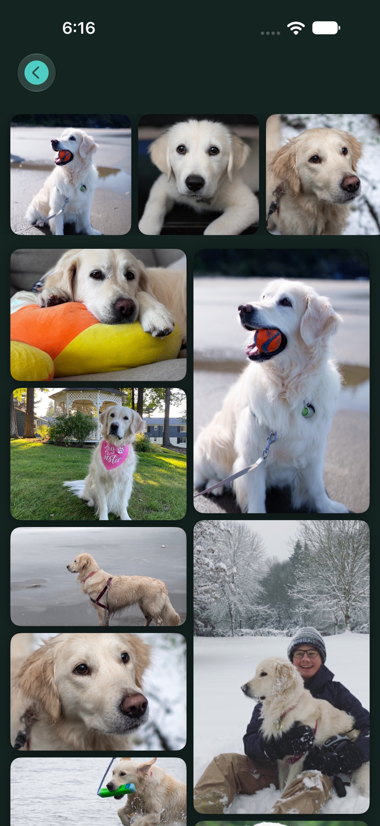 Screenshot 1 of FunFrame: Photo Games
