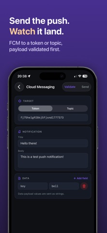 Firebase Console - Firedeck iPhone screenshot 7