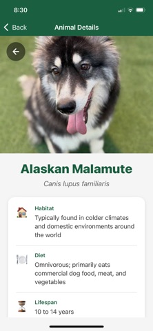 Animal Finder App のスクリーンショット