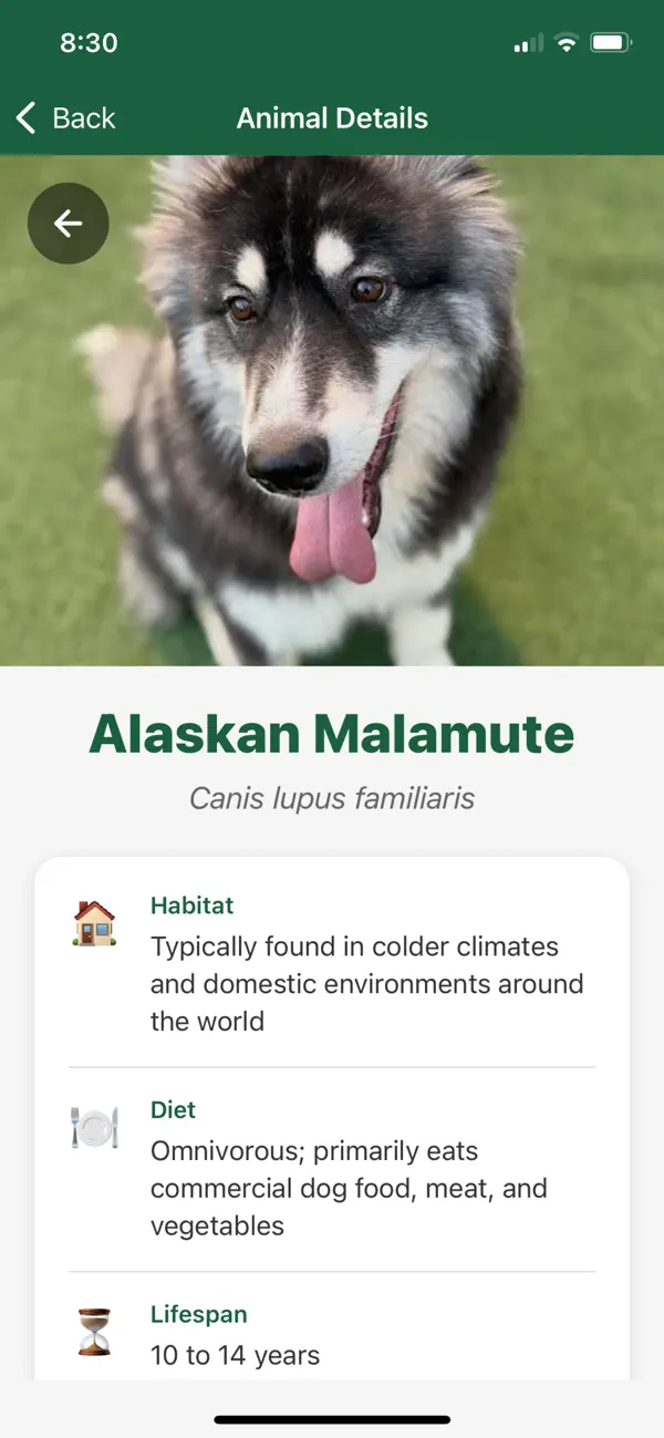 Screenshot #2 pour Animal Finder App