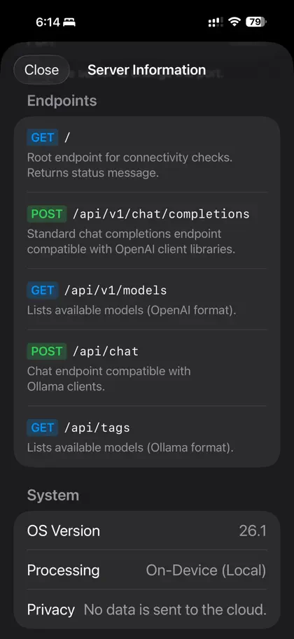 Screenshot 3 di 4 di Local LLM Server Pro